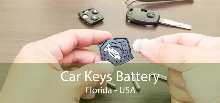 Car Keys Battery Florida - USA