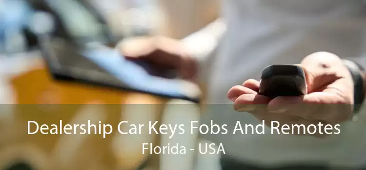 Dealership Car Keys Fobs And Remotes Florida - USA