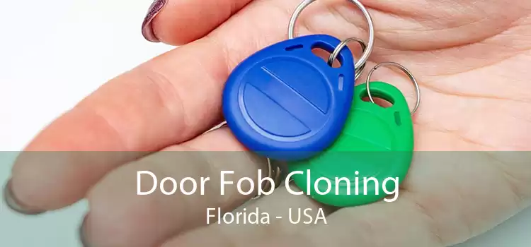 Door Fob Cloning Florida - USA