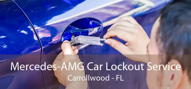 Mercedes-AMG Car Lockout Service Carrollwood - FL