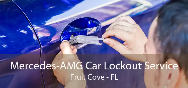 Mercedes-AMG Car Lockout Service Fruit Cove - FL