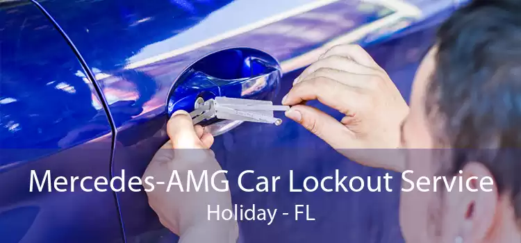 Mercedes-AMG Car Lockout Service Holiday - FL