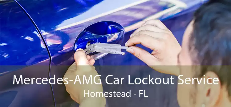 Mercedes-AMG Car Lockout Service Homestead - FL