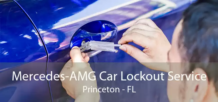 Mercedes-AMG Car Lockout Service Princeton - FL