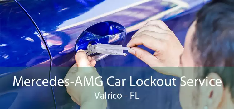 Mercedes-AMG Car Lockout Service Valrico - FL