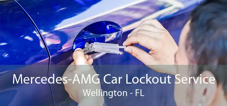 Mercedes-AMG Car Lockout Service Wellington - FL
