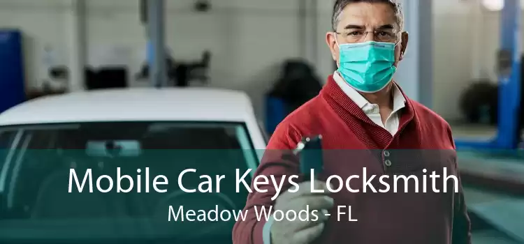 Mobile Car Keys Locksmith Meadow Woods - FL