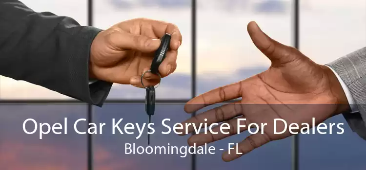 Opel Car Keys Service For Dealers Bloomingdale - FL