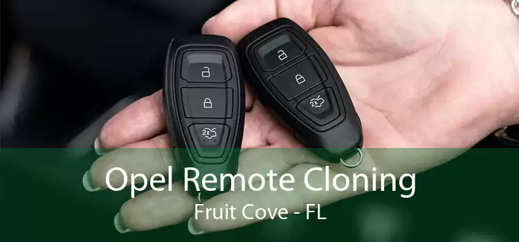 Opel Remote Cloning Fruit Cove - FL