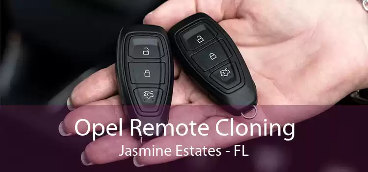 Opel Remote Cloning Jasmine Estates - FL