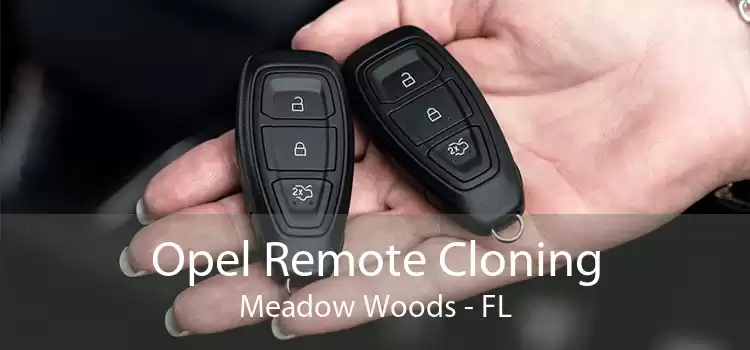 Opel Remote Cloning Meadow Woods - FL
