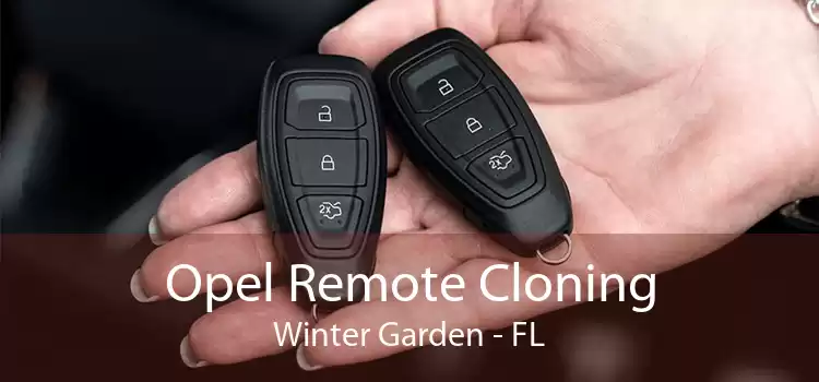 Opel Remote Cloning Winter Garden - FL