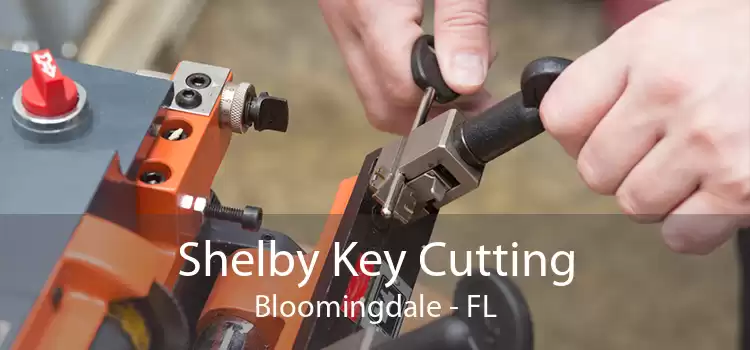 Shelby Key Cutting Bloomingdale - FL