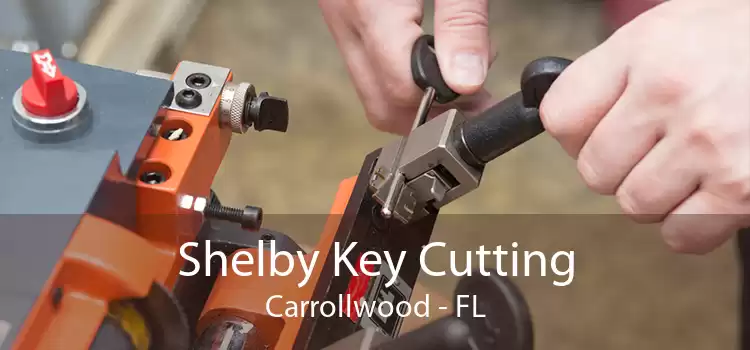 Shelby Key Cutting Carrollwood - FL