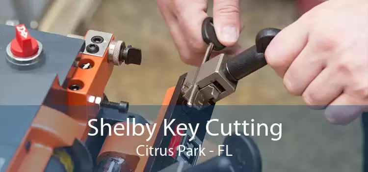 Shelby Key Cutting Citrus Park - FL