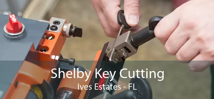Shelby Key Cutting Ives Estates - FL
