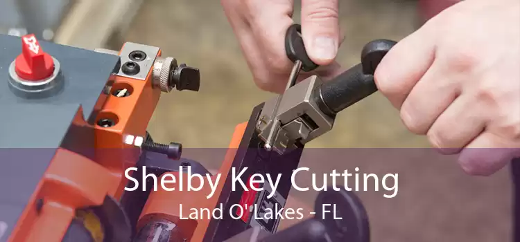 Shelby Key Cutting Land O' Lakes - FL