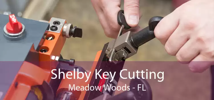 Shelby Key Cutting Meadow Woods - FL