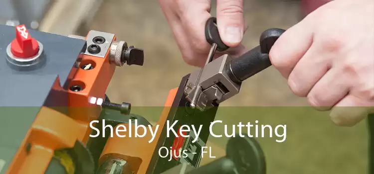 Shelby Key Cutting Ojus - FL