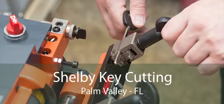 Shelby Key Cutting Palm Valley - FL