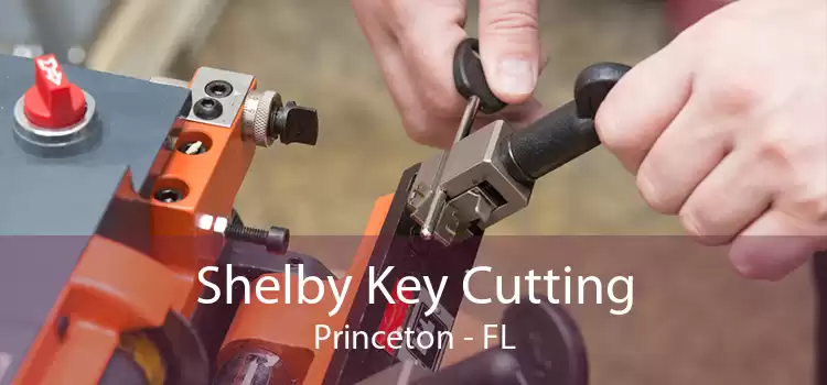 Shelby Key Cutting Princeton - FL