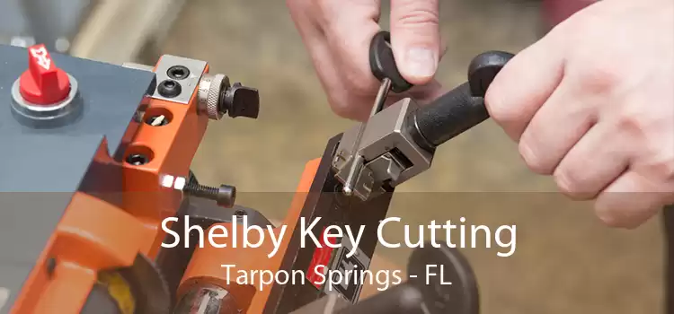 Shelby Key Cutting Tarpon Springs - FL