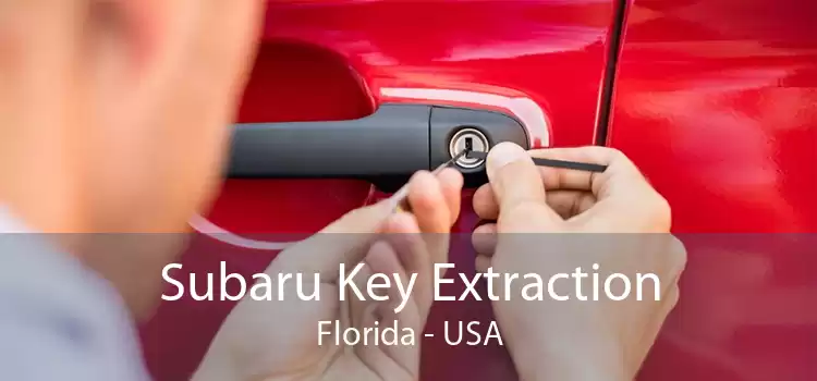 Subaru Key Extraction Florida - USA