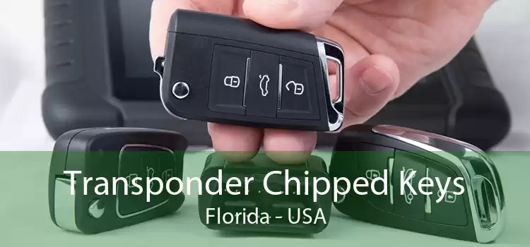 Transponder Chipped Keys Florida - USA