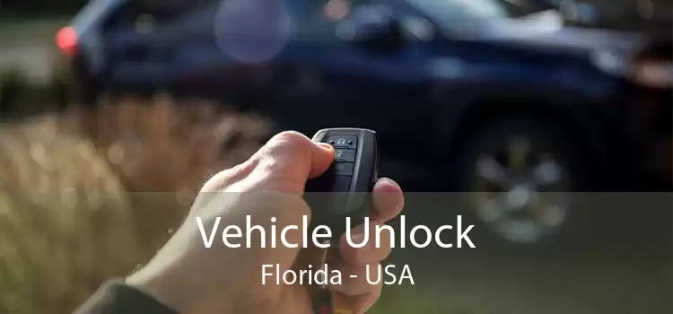 Vehicle Unlock Florida - USA