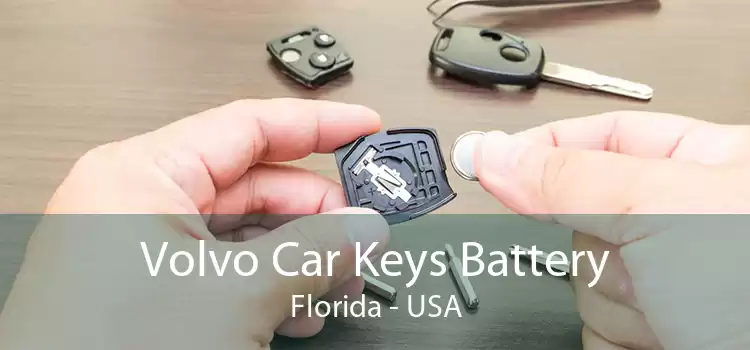 Volvo Car Keys Battery Florida - USA
