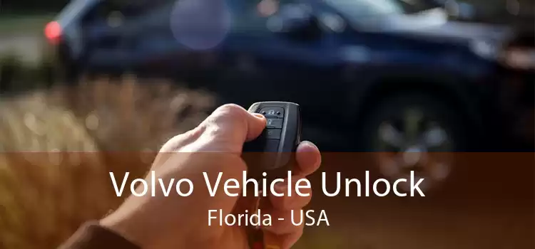 Volvo Vehicle Unlock Florida - USA